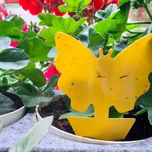 Rovarirtó pálca - 12 db (WNDR19053) - Image 4