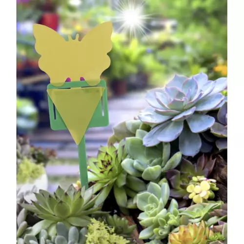 Rovarirtó pálca - 12 db (WNDR19053) - Image 6