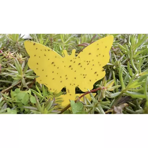 Rovarirtó pálca - 12 db (WNDR19053) - Image 7