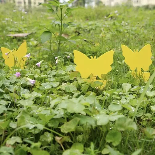 Rovarirtó pálca - 12 db (WNDR19053) - Image 8