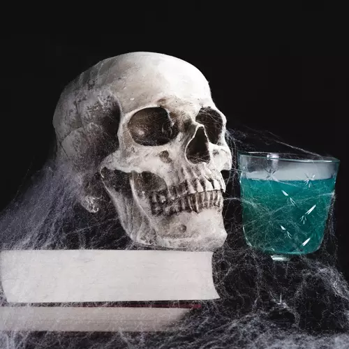 Valósághű pókháló 2 pókkal (WNDR19759) - Image 8