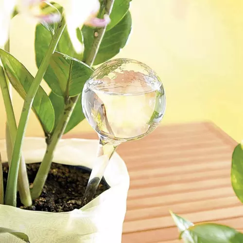 Öntöző gömbök növények számára - 8db (WNDR21043) - Image 7