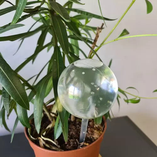 Öntöző gömbök növények számára - 8db (WNDR21043) - Image 9