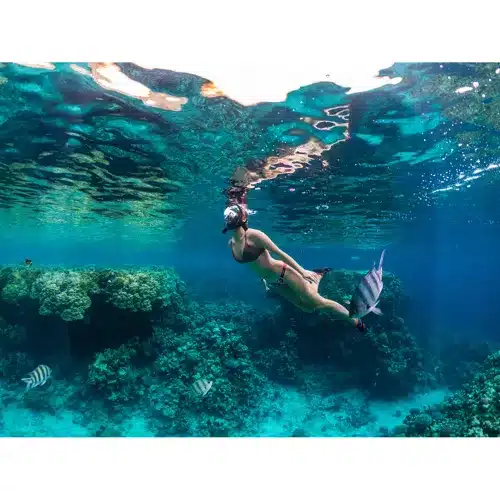 Búvár maszk - S/M méret (WNDR23469) - Image 9