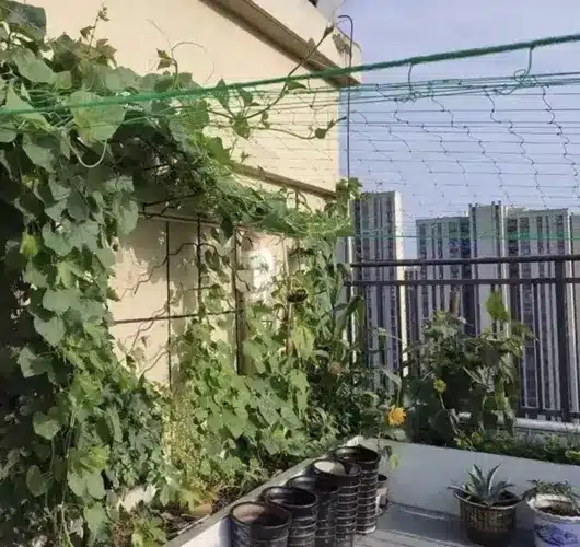 Növényháló futónövények támogatására – 2 x 10 m (WNDR23978) - Image 5