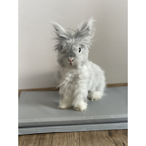 Purlov XL hűsítő gélmatrac kisállatoknak – 90 × 50 cm, automatikus hűtés, újrahasználható (WNDR25531) - Image 3